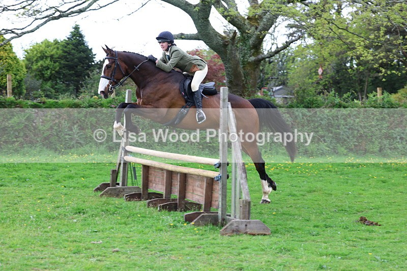 3E7A2491 - Classes 30 and 31: 80cm Working Hunter