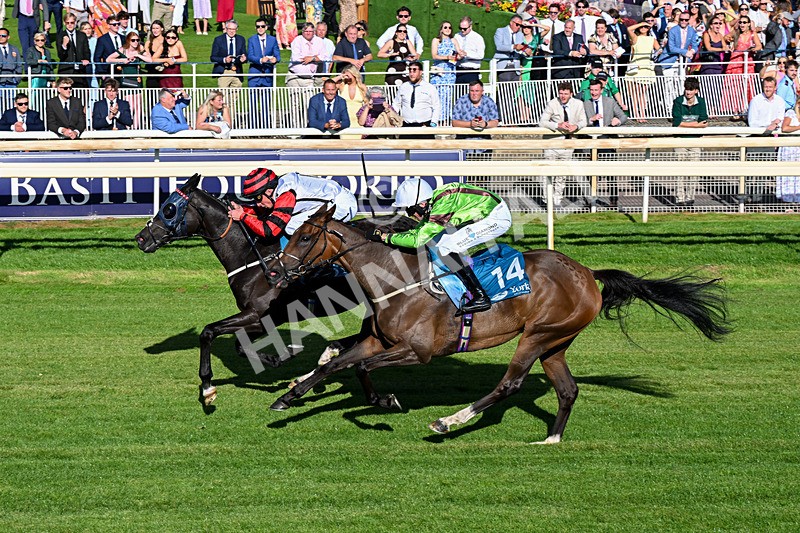 240726-Race 2-Vaguely Royal-0244 - Race 2 18.05pm Elevator Company Handicap