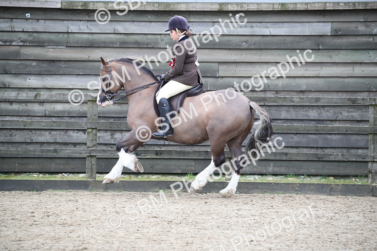 SBM_007084 - Class 10-13 - RIHS Small Large Breeds