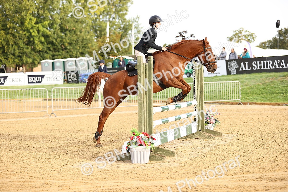 SBM_55118 - J62 - Clear Round 90cm