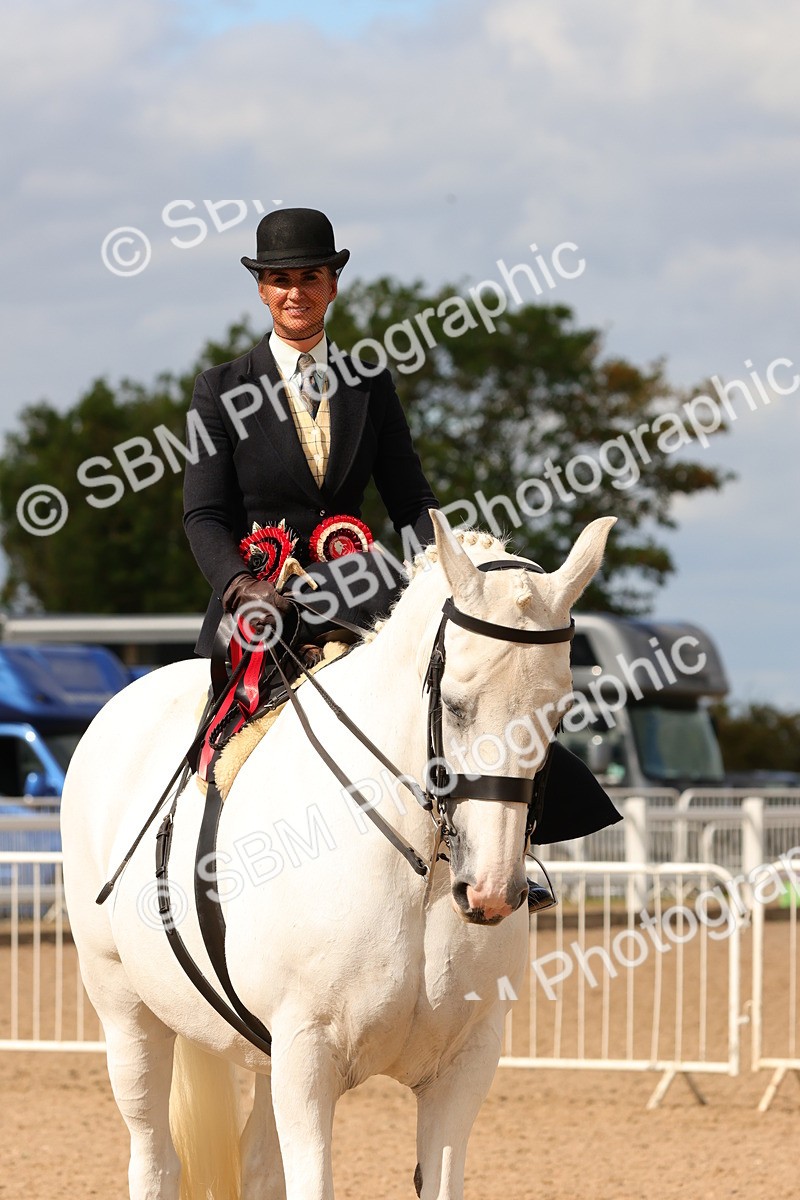 SBM_15920 - Class 216 - Best Side Saddle Horse-Pony