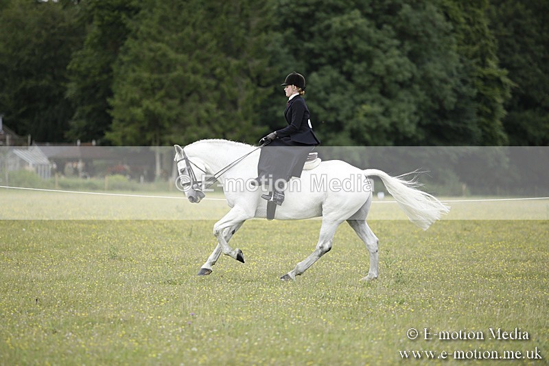 BVR160717-1941 - Side Saddle Classes 16/07/17