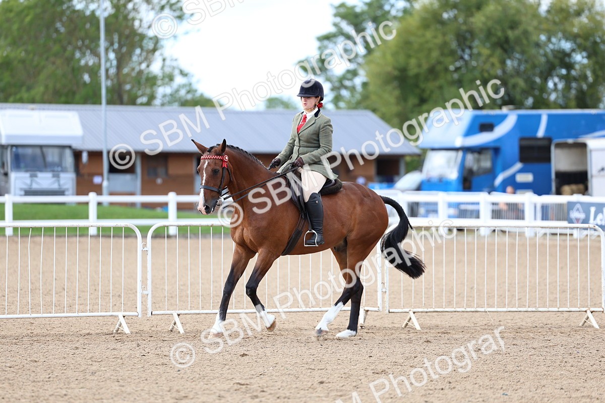 SBM_10094 - Class 304 - Ridden Part Bred Horse Pony