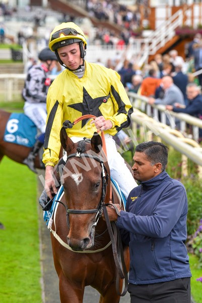 230923-Race 3-Politico-6252 - Race 3 3.10pm Happy 60th Birthday Angela Clark Nursery Handicap