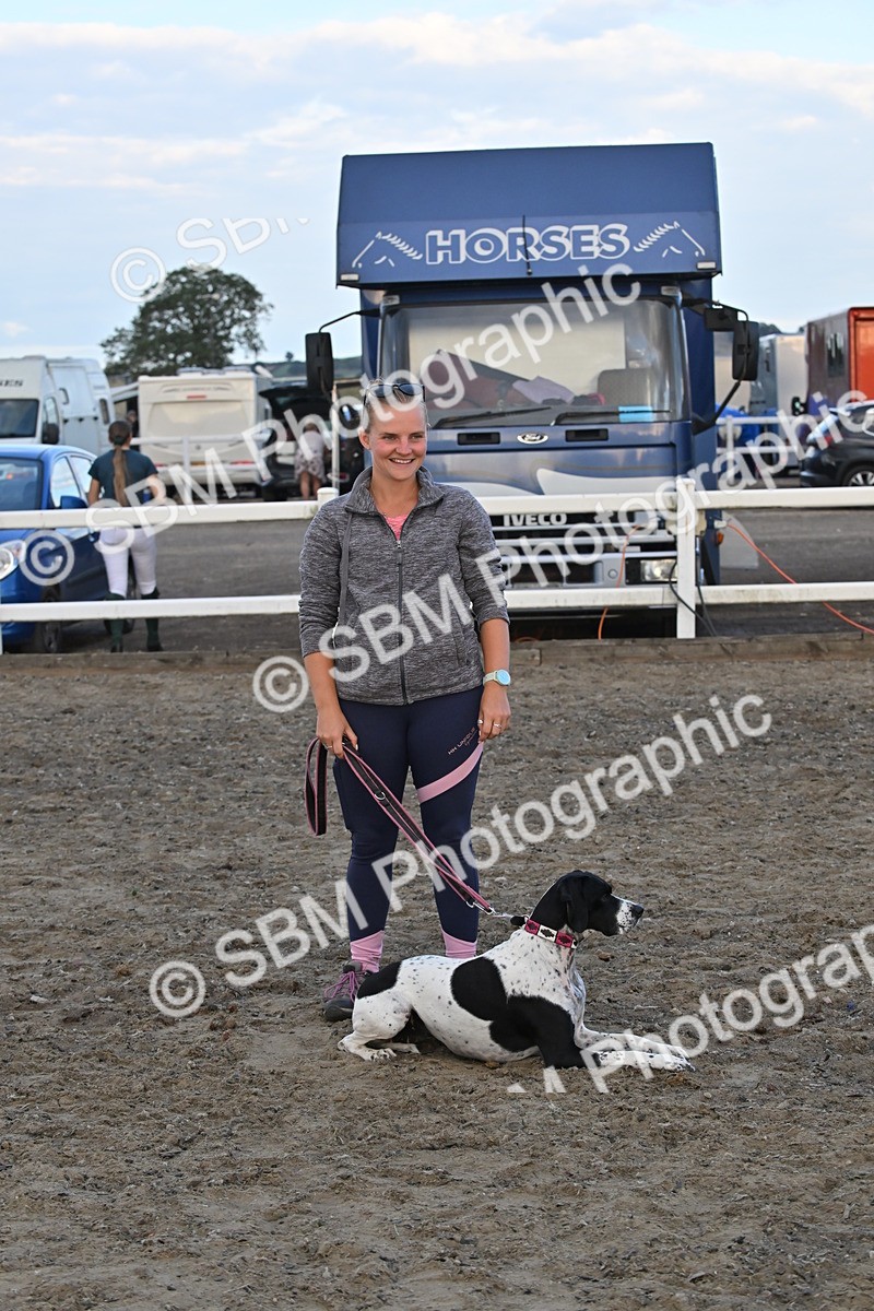 SBM_09593 - Lorry Dogs