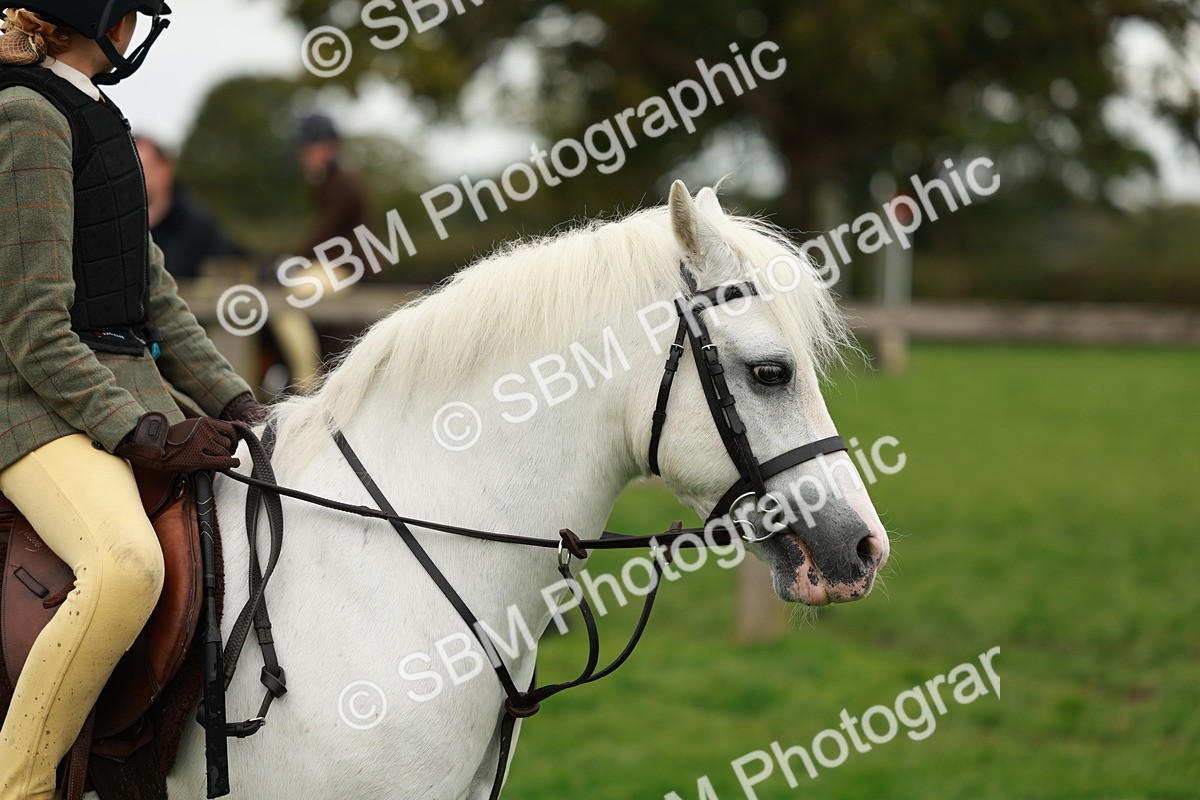 SBM_41796 - S32 - Mountain & Moorland Working Hunter Pony