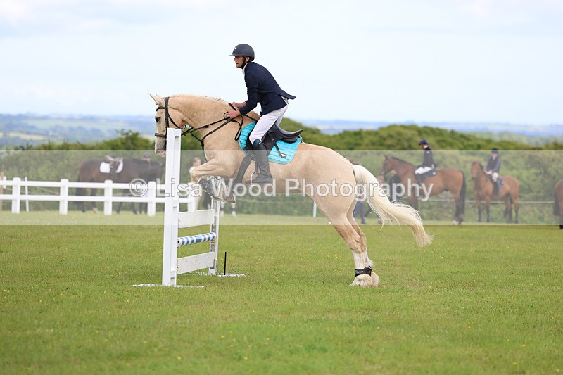 3E7A7652 - Class 13: Senior British Novice/90cm open