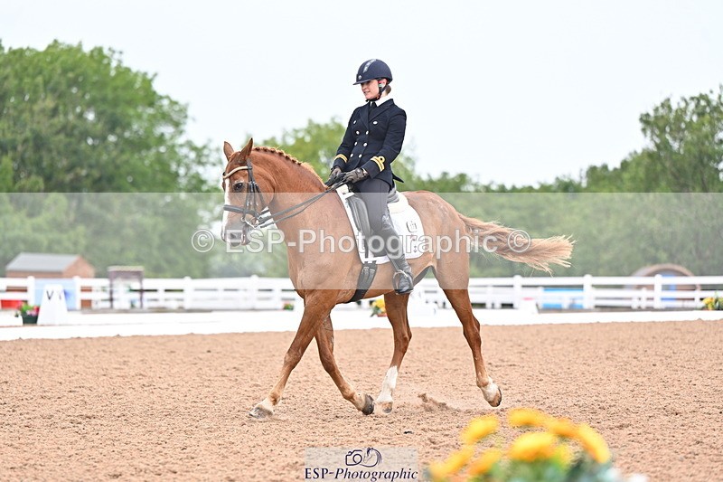 240815A-140036-01731 - 170-India.John-Grayswood.Orlando