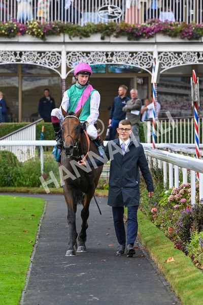 080924-Race 1-Windlord-8845 - Race 1 1.40pm British European Breeders Fund Novice Stakes