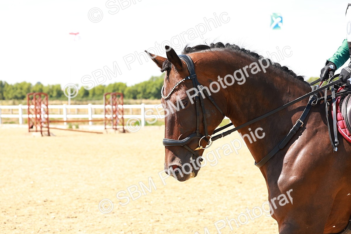 SBM_002459 - AE - 70cm