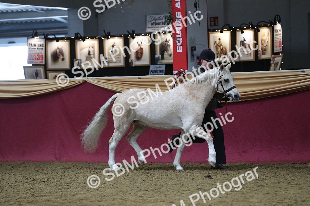 SBM_17180 - M&M Supreme Final Champ