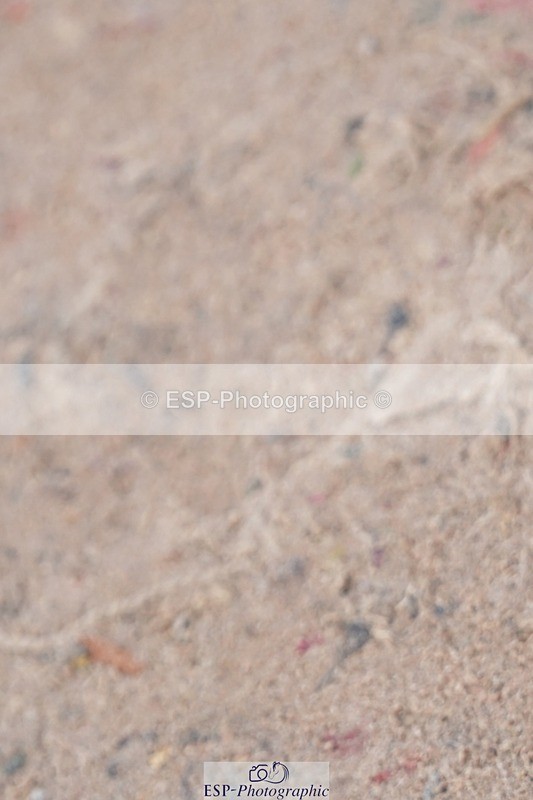 250425-090034-08279 - Cls 26 Young Horse 5yr old