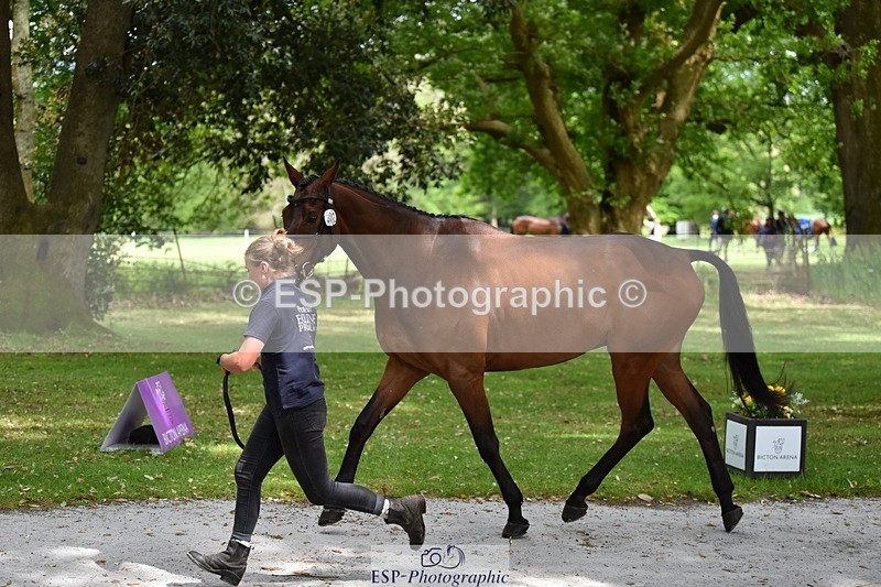 240522-150256-00058 - 302-BGS_LUX_ELECTRIC-Emily_Philp