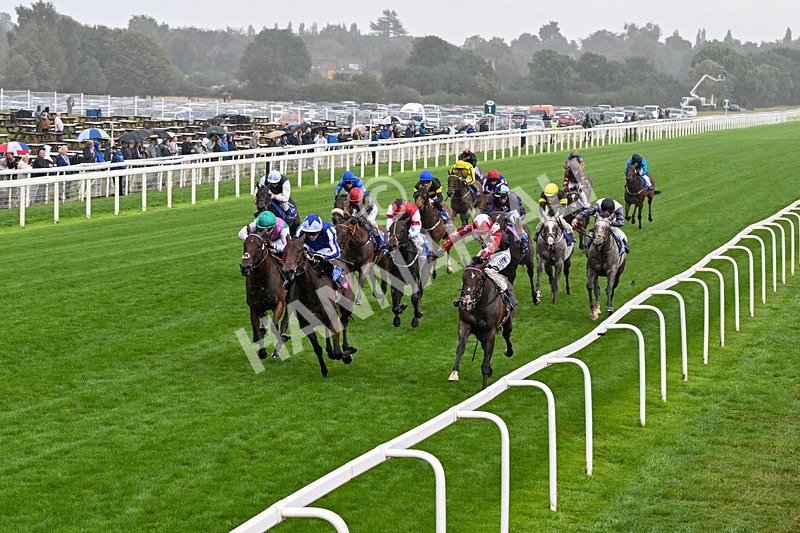200826-Race 1-Libertango-0228 - Race 1 13.50pm Sky Bet Lowther Stakes