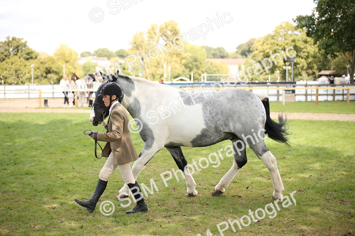 SBM_44416 - S24 - Young Veteran in hand