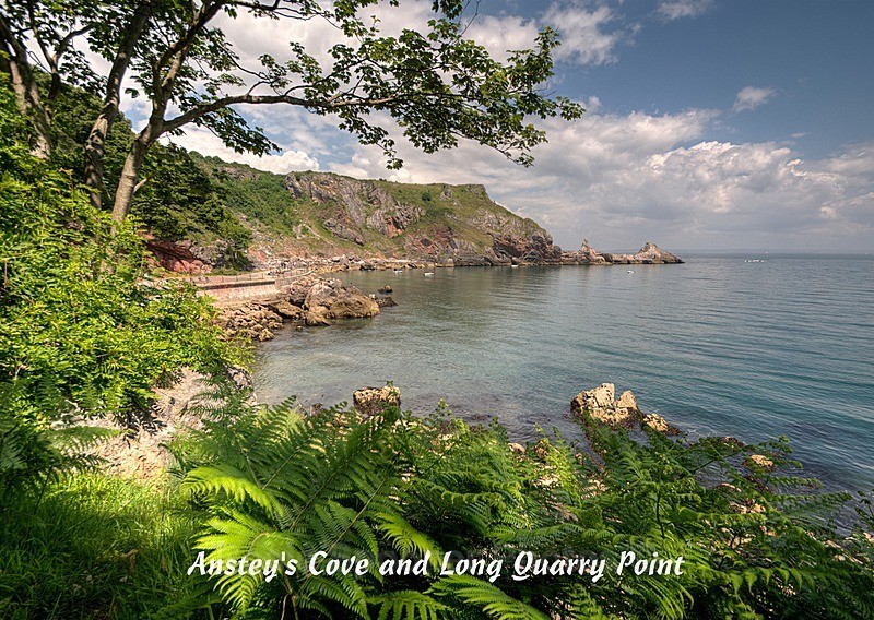 RSPO44 - Long Quarry Point View - Anstey's Cove Postcards