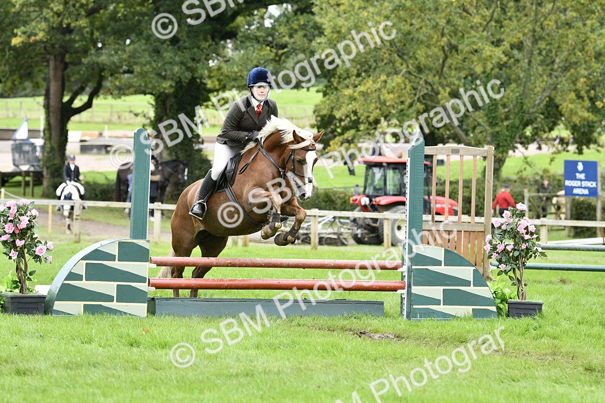 SBM_41378 - S32 - Mountain & Moorland Working Hunter Pony