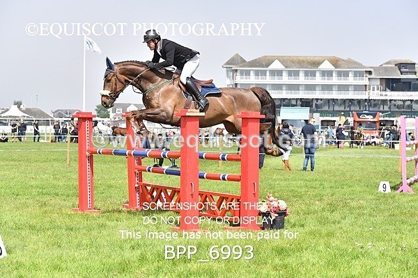 BPP_6993 - CLASS 3 RHS Fox Champ Qual (1.20m)