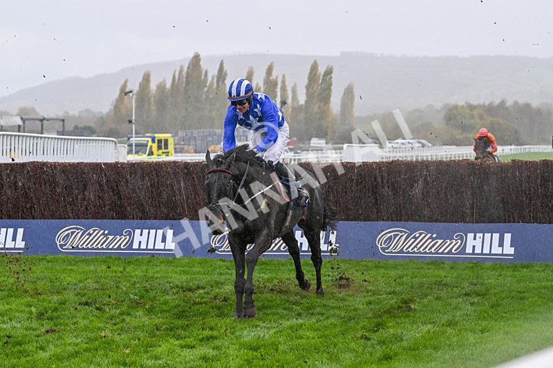 251025-Race 1-Darcys Friend-6976 - Race 1
