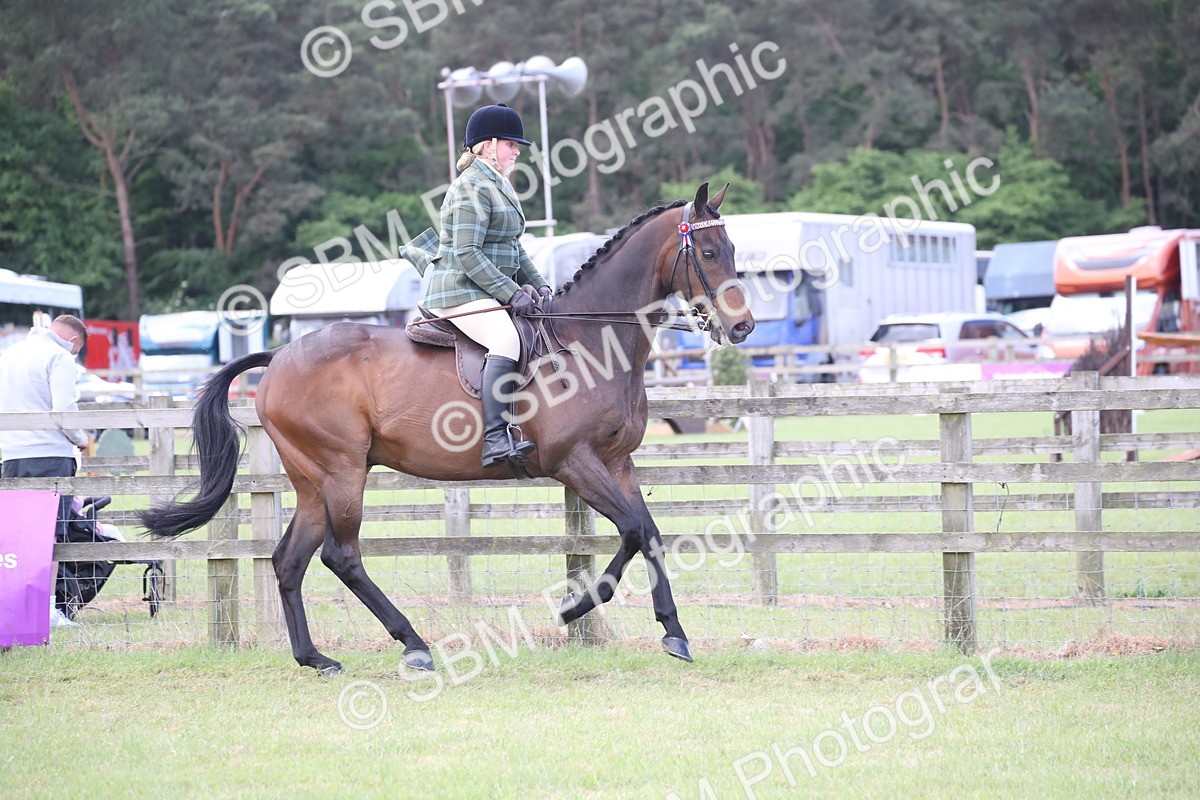 SBM_14174 - Class 113-114 - Retraining of Racehorses Ridden