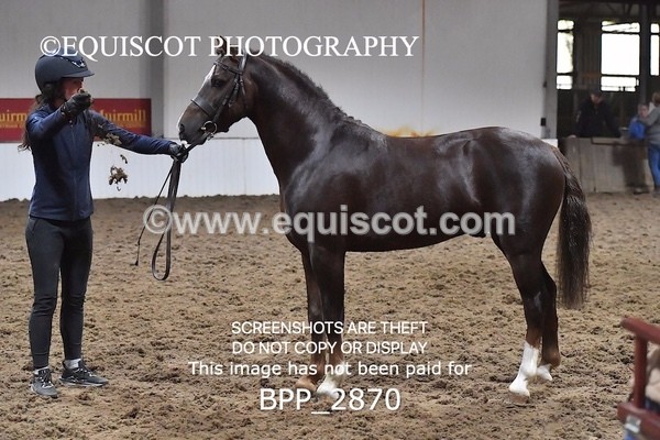 BPP_2870 - LOOSE JUMPING / SPSS