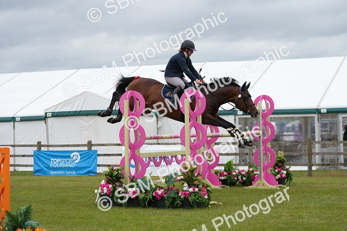 SBM_03345 - Class 201 - British Horse Feeds Speedi Beet Horse of the Year Show Grade  C