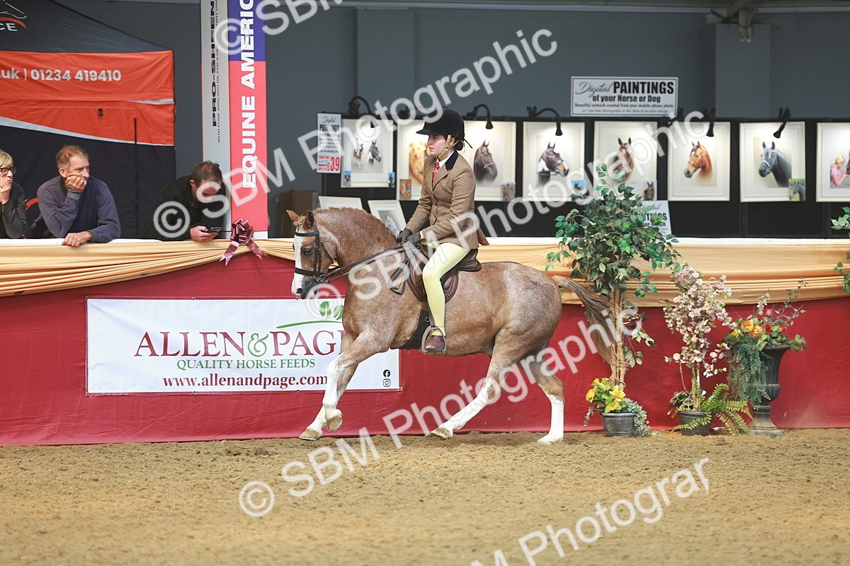 SBM_12513 - Class 103 - HOYS Veteran Qualifier - Ridden Pre Vet