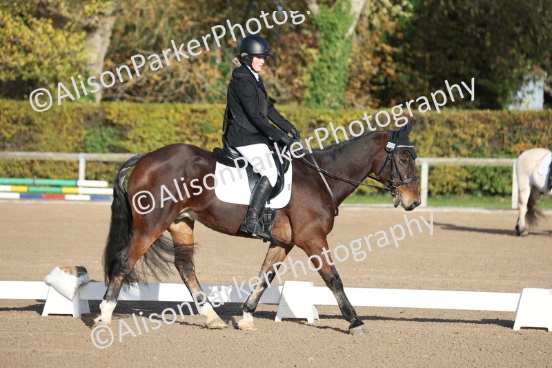 20251101-0041 - Class 1 - Intro 1