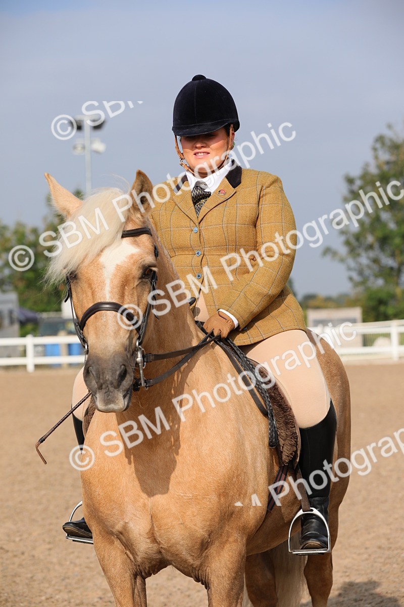 SBM_10176 - Class 302 Ridden M&M -Large Breeds