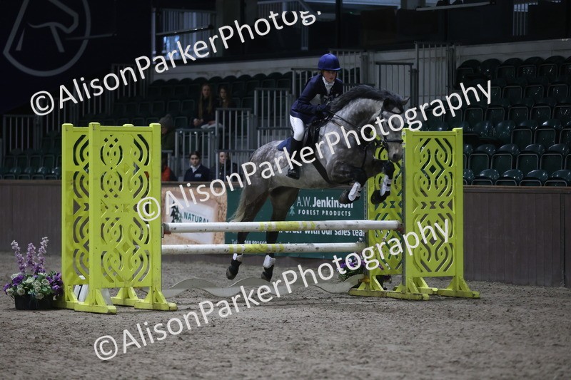 20260125-5101 - Class 5 - 80cm