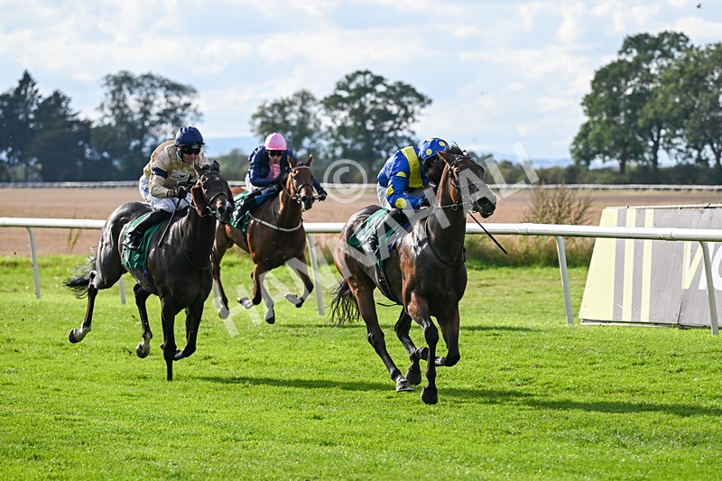 140926-Race 5-Mo Anam Chara-7510 - Race 5 4.21pm decronhorsecare.co.uk Handicap