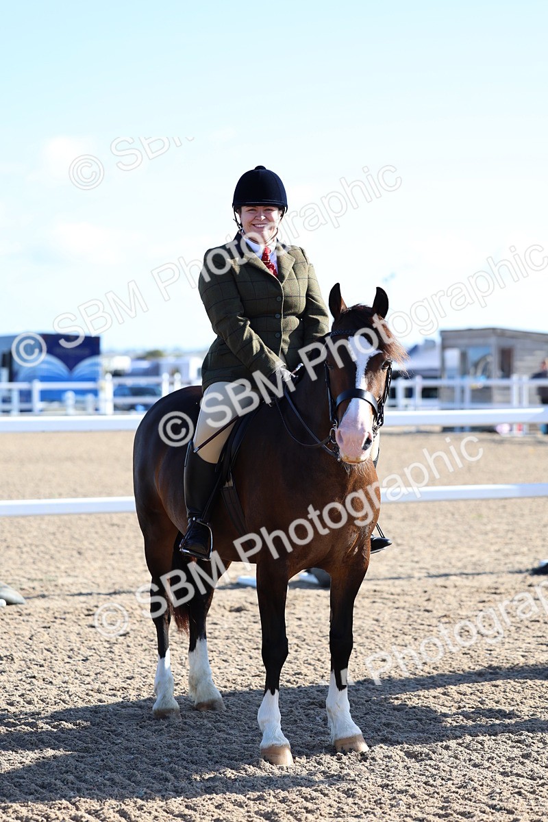 SBM_08861 - Class 302 - Ridden M&M - Large Breeds