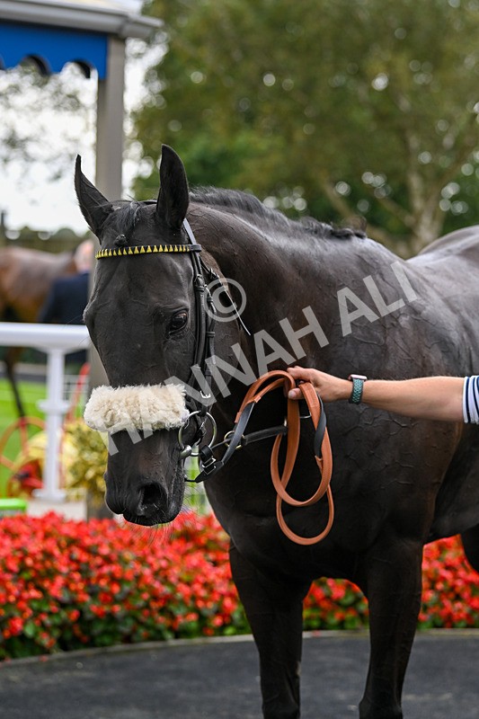 250824-Race 1-Emeralds Pride-2457 - Race 1