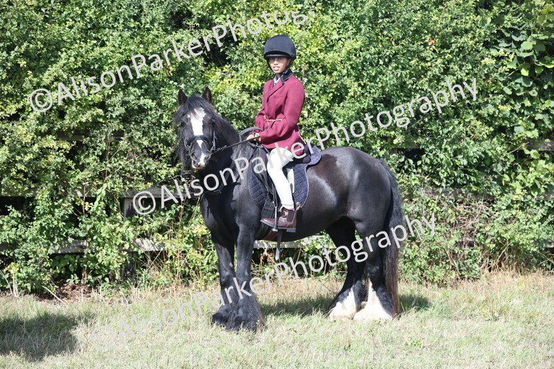 20250831-2530 - Class 16 - Family Pony