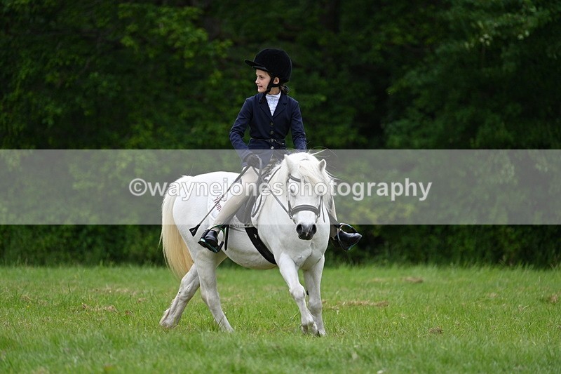 WJ7_4473 - Class 14B Prettiest Mare