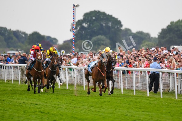 170623-Race 1-Kihavah-0200 - Race 1 2.00pm Queen Mother's Cup Handicap