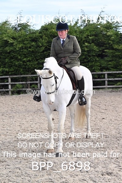 BPP_6898 - RING 1  (RIDDEN HORSES / IN HAND / VETERAN ETC)