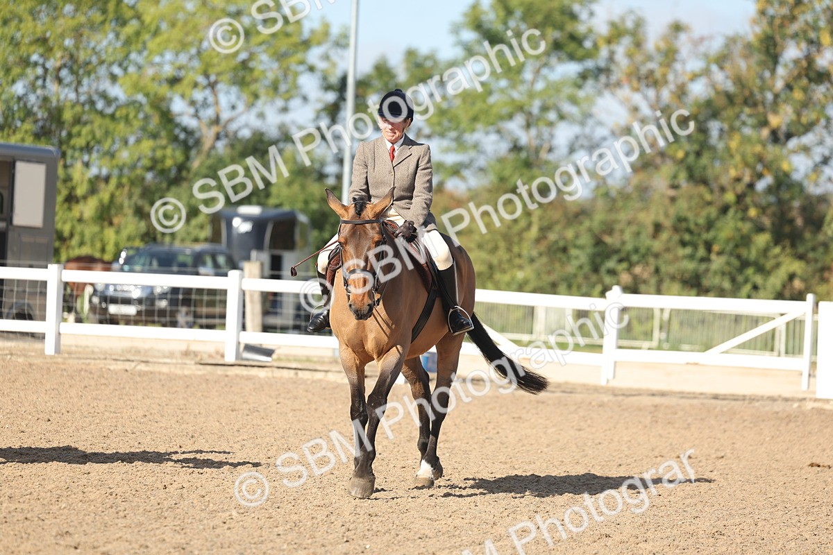 SBM_22327 - Class 803 - Ridden Combination 65+