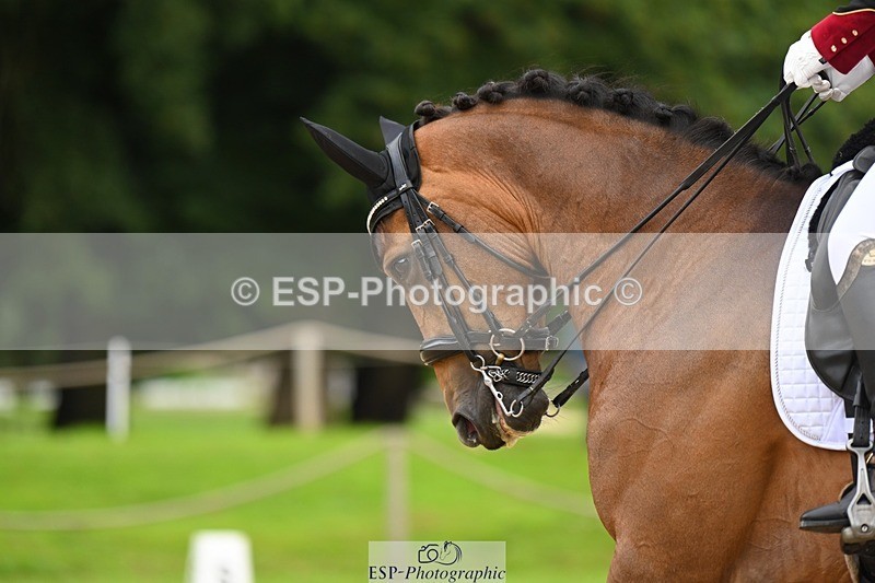 230813-084937-05705 - Cls 12 Elem Silver Start to 10.10 break