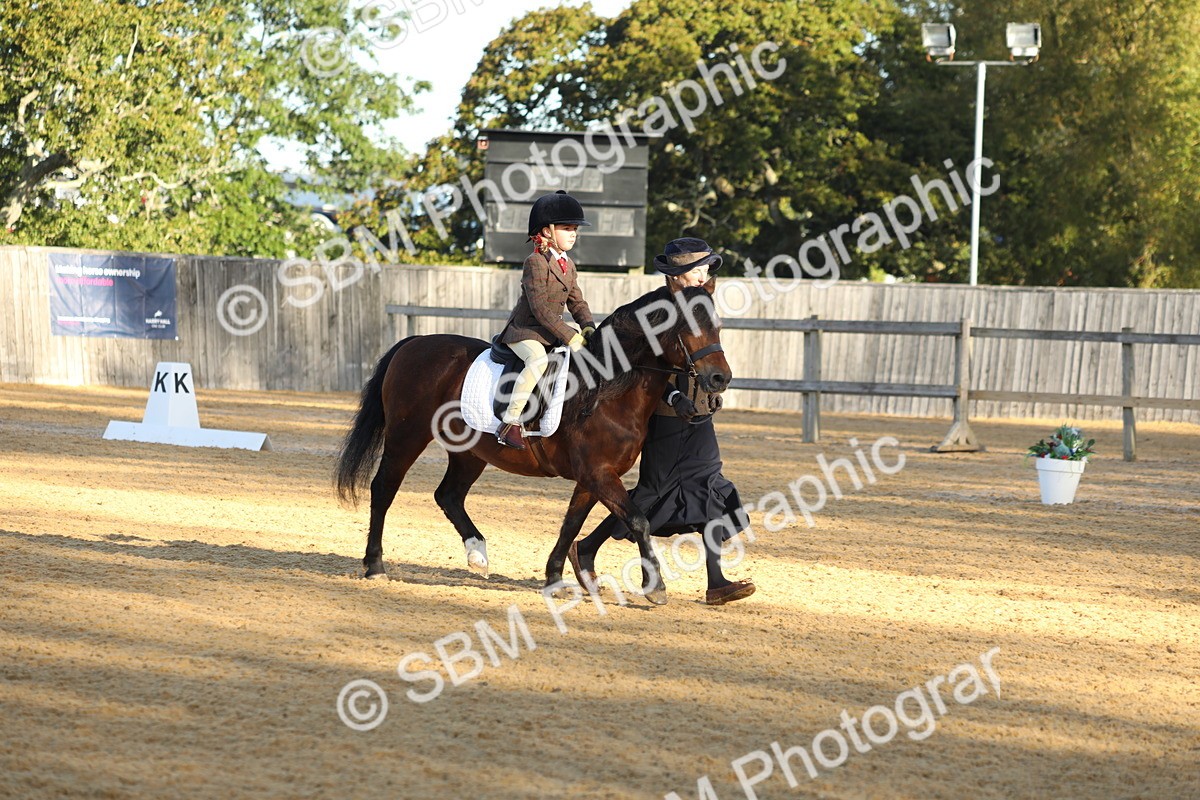 SBM_33663 - D26 - Starers - Lead Rein