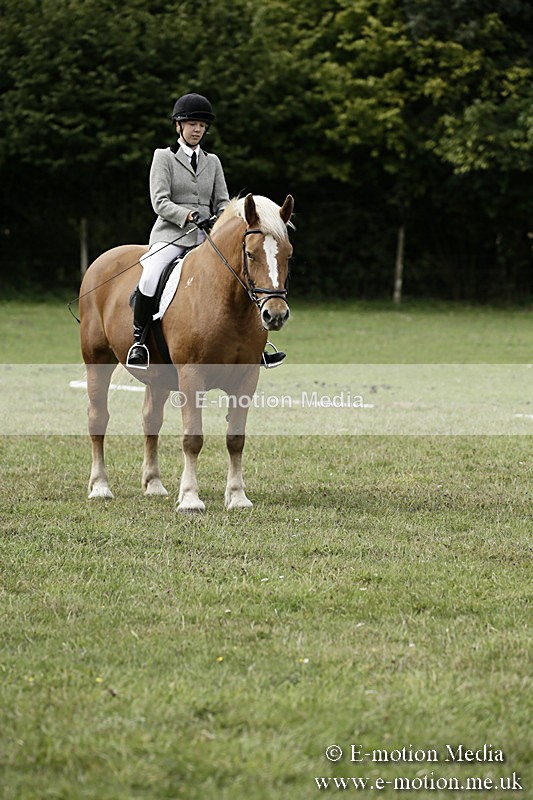 BVR080918 95 - BVRC Novice Dressage & CR 08/09/18