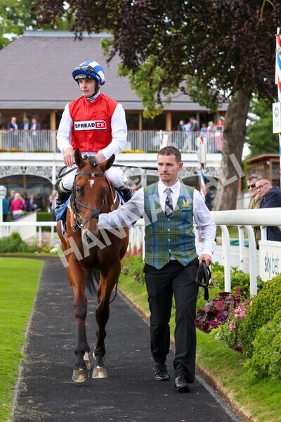 yr10062022r2-35 - Race 2 2.30pm SKF Rous Selling Stakes