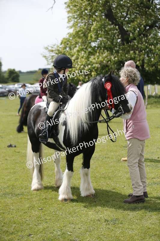 20260426-3464 - Class 11 - Best Mane and Tail