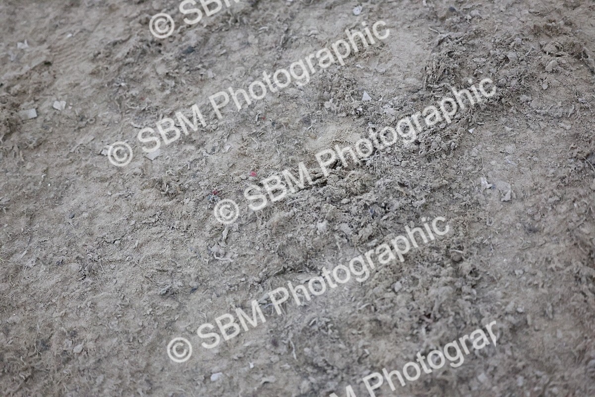 SBM_006014 - Evening Performance