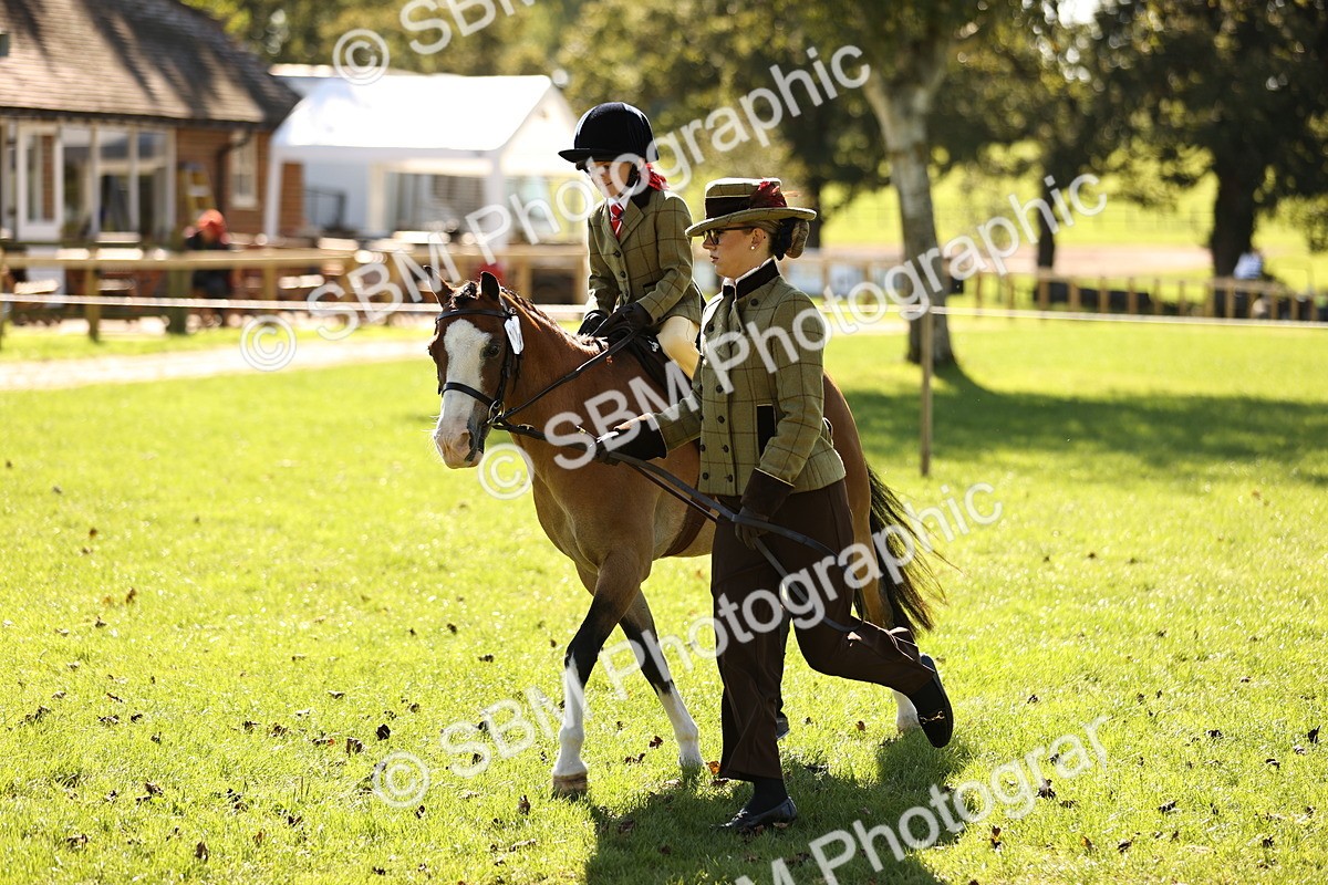 SBM_19289 - S3 - TSR Ridden Pony Showing