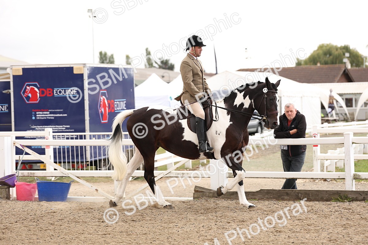 SBM_02939 - Class 53 - Ridden Competition Horse/Pony
