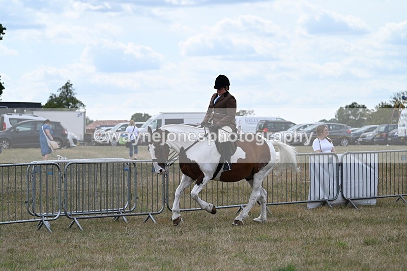 WJ7_5043 - Class 12 Ridden Cob