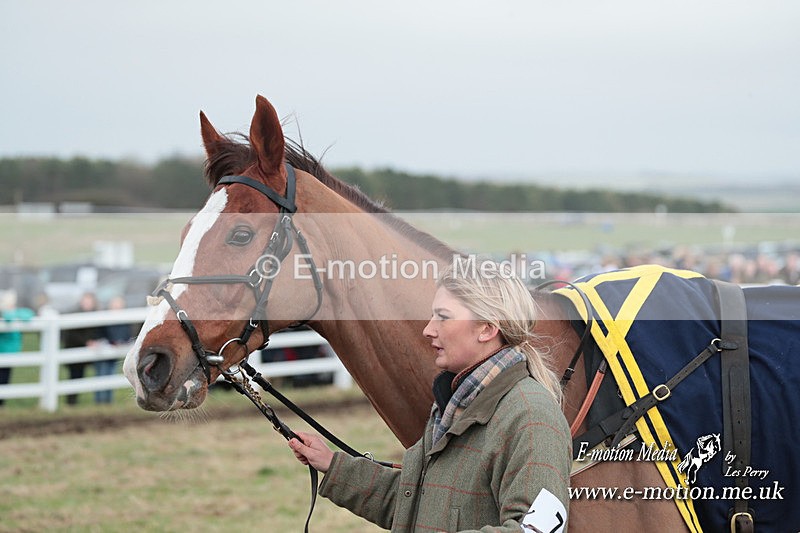 PtP 311223 183 - Larkhill Racing Club Point-to-Point 31/12/23