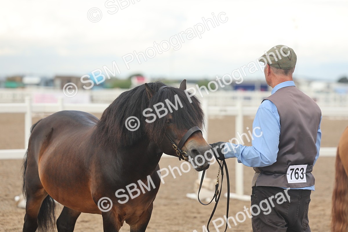 SBM_08537 - Class 29 - IH Veteran Pony
