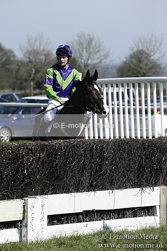 PtP 260317 34 - Mendip Farmers Point-to-Point Ston Easton 26/03/17